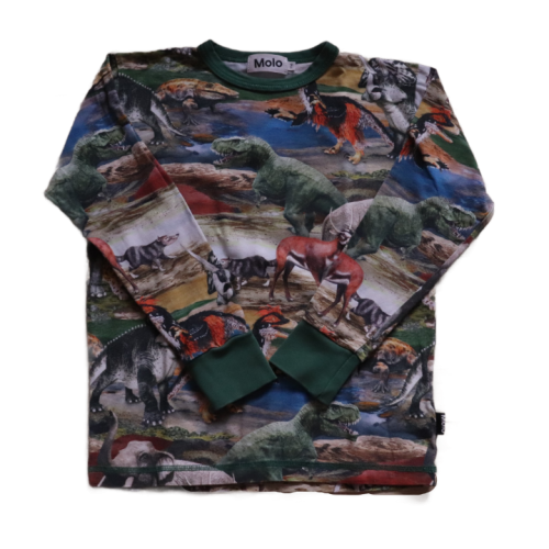 Bluzka MOLO 116 cm dinozaury.png