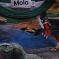Bluzka MOLO 116 cm dinozaury1.JPG